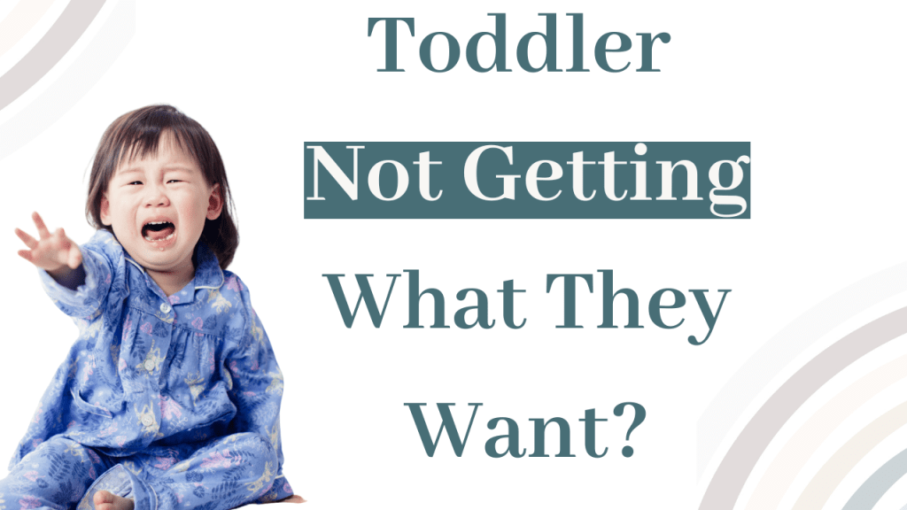 Navigating Meltdowns: When Toddlers Don’t Get What They&nbsp;Want