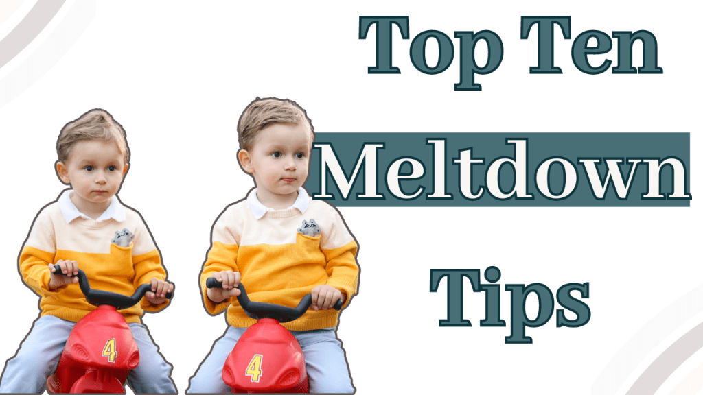 Toddler Developmental Needs and Top 10 Meltdown&nbsp;Tips