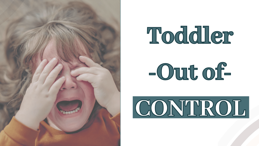 When Toddler Behavior Gets Out of&nbsp;Control