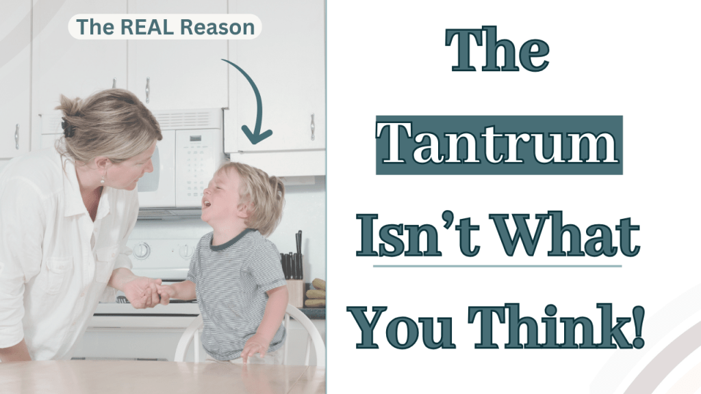 Why Toddlers Really Throw&nbsp;Tantrums