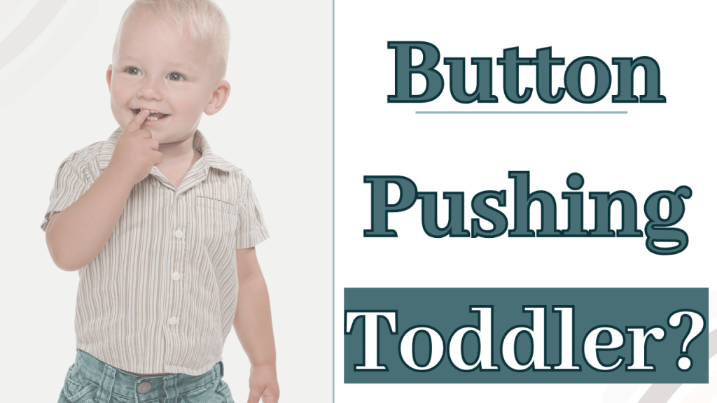 My Toddler Pushes ALL MY&nbsp;BUTTONS