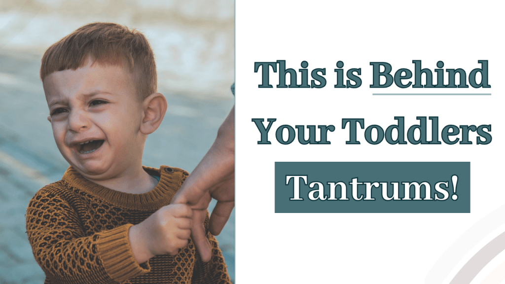 Understanding Toddler Tantrums: Real Life Stories + What&nbsp;Helped