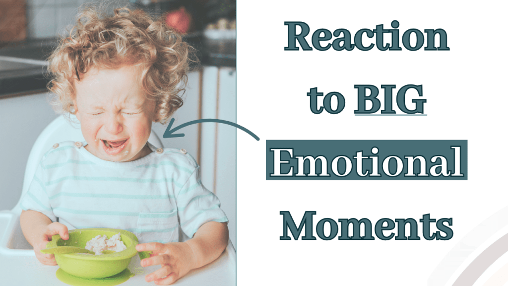 What We Do In Our Toddler’s Big Emotional Moments Changes&nbsp;Everything